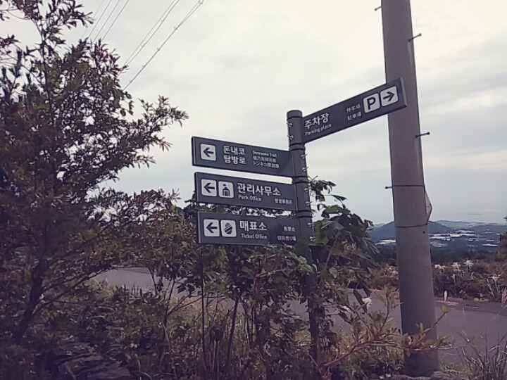 돈내코주유소 이미지