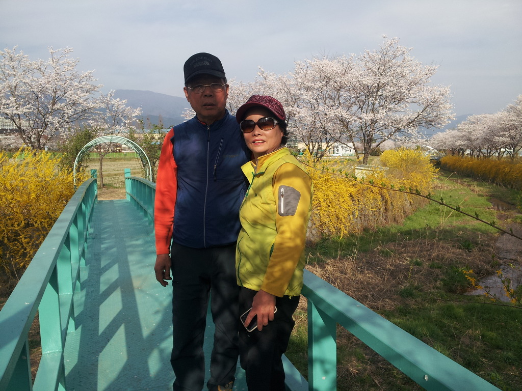 파티센타 이미지