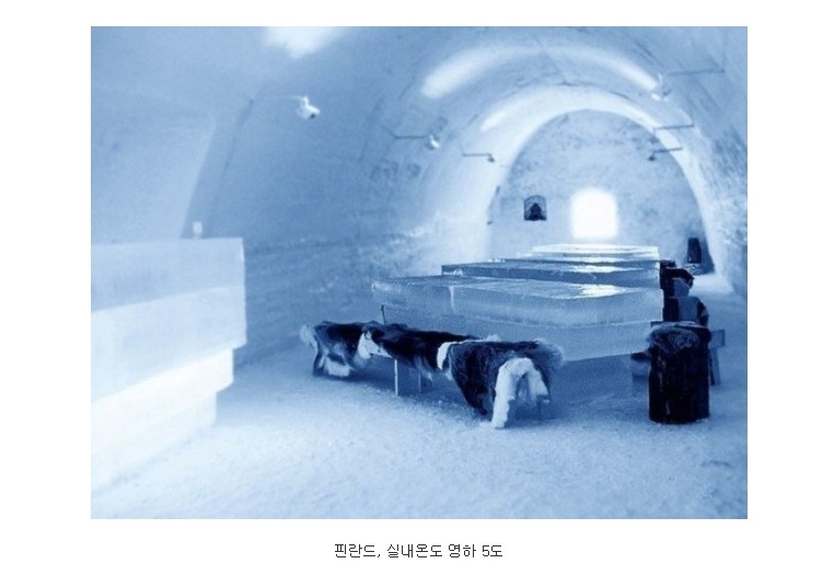 지구촌 특이한 레스토랑들.jpg | 인스티즈