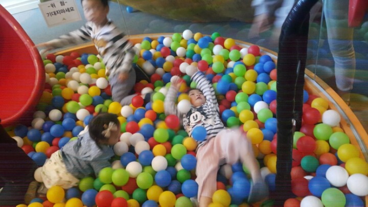꽃향 이미지