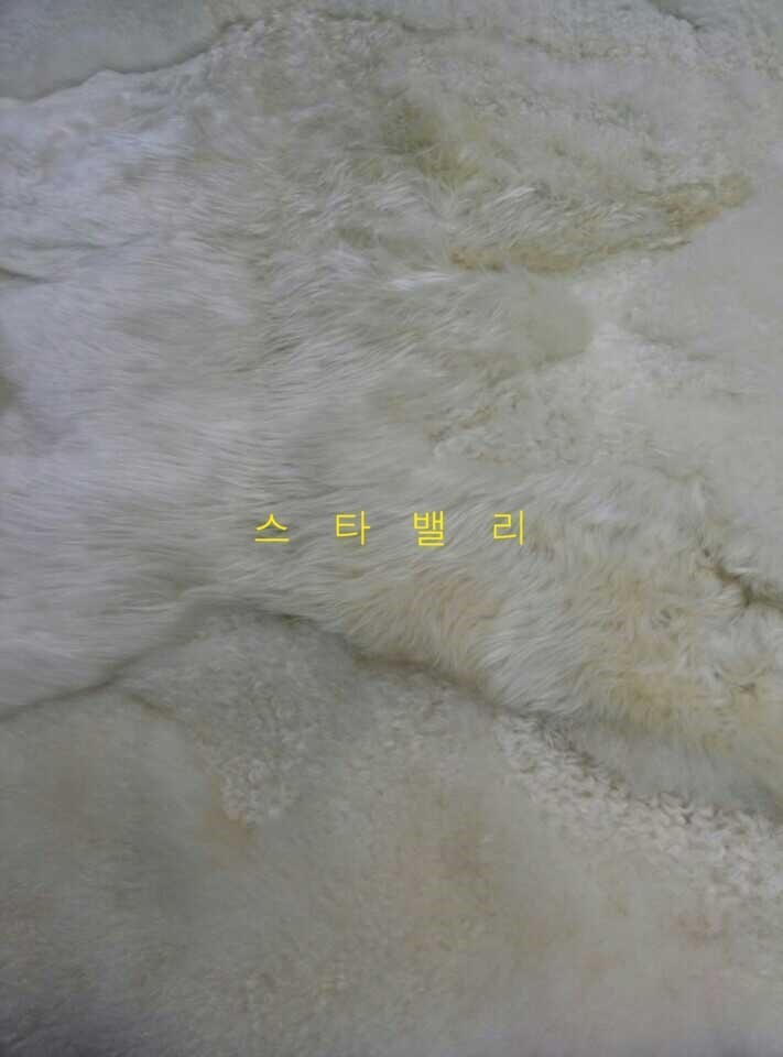 세탁의정석 이미지