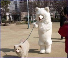 이뿐이 이미지