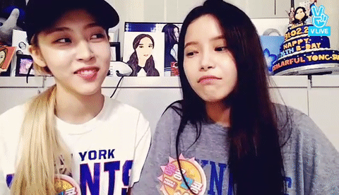 현실 수긍이 빠른 마마무.gif | 인스티즈