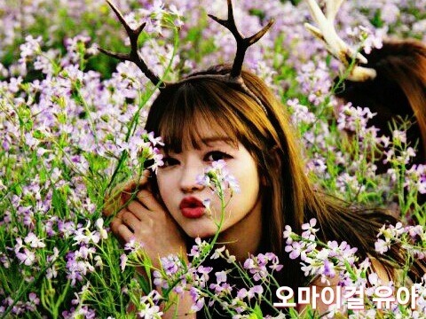 우리가 몰랐던 표준어 | 인스티즈