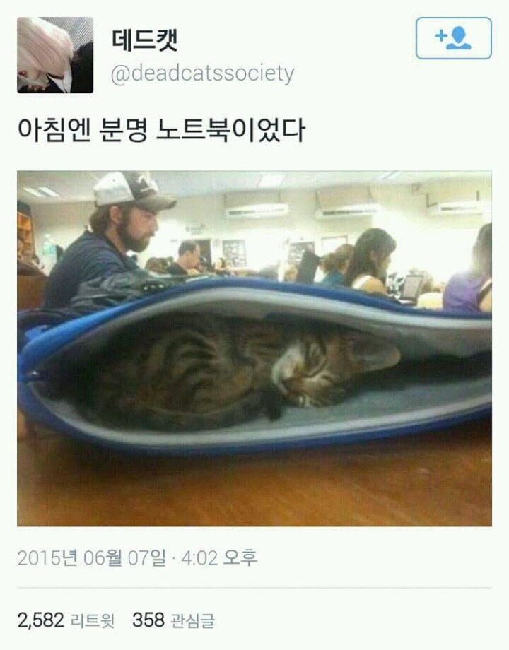 아침엔 분명 노트북이었다.jpg | 인스티즈