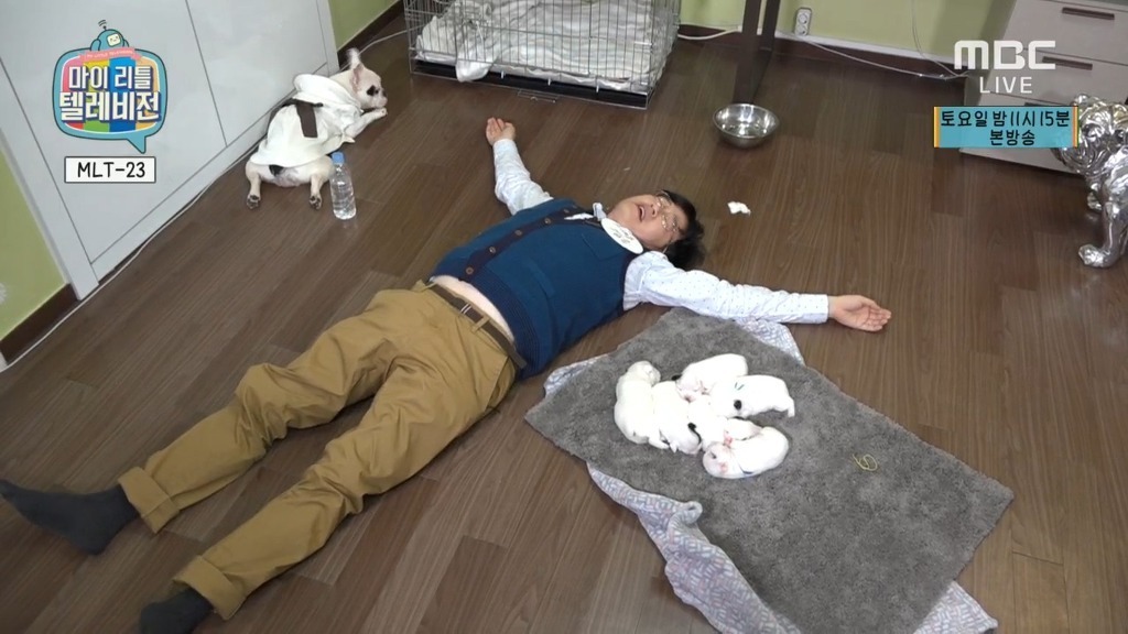 경규옹 마리텔 그래도 해줄거다해줌 | 인스티즈