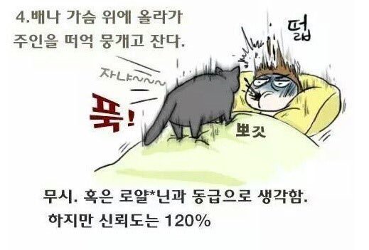 냥냥이와 집사와의 친밀도 테스트 | 인스티즈