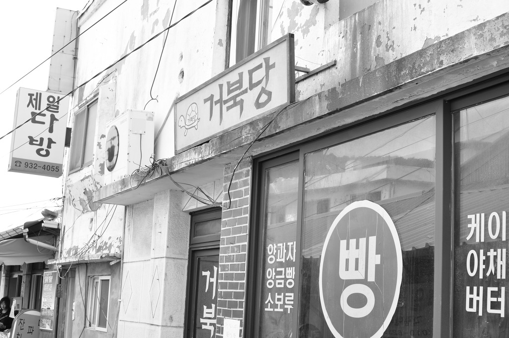 거북당 이미지