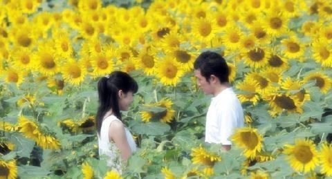 OST가 좋은 일본영화 | 인스티즈
