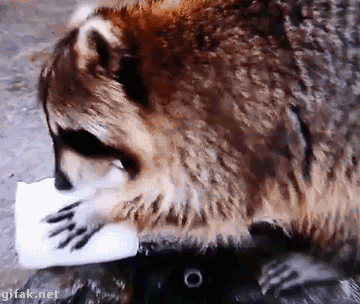 주식이란...gif | 인스티즈
