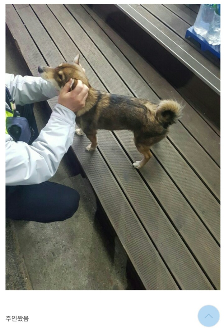 편의점에 찾아온 댕댕이 | 인스티즈