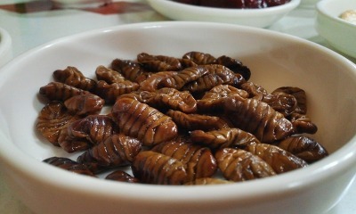 참조은생고기 이미지