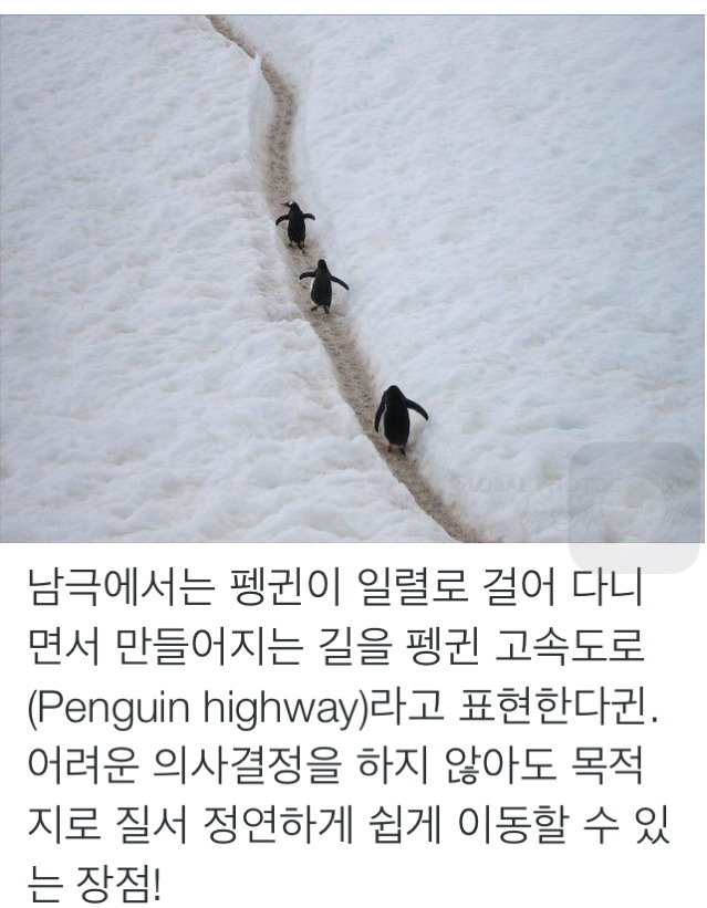 남극에 가면 볼 수 있는 도로 | 인스티즈