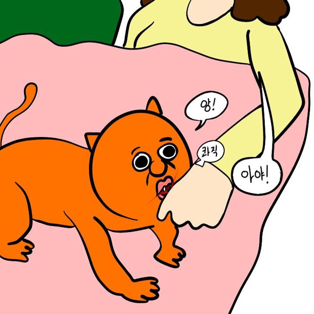 살면서 한 번도 싸우지 않은 노부부 (이주용) | 인스티즈