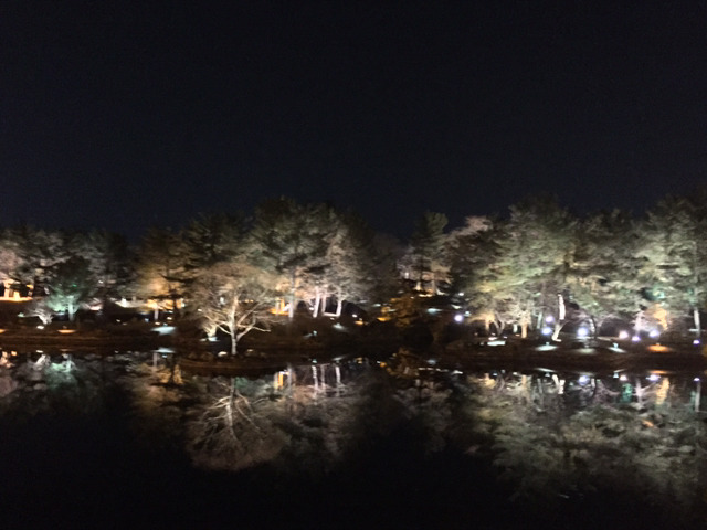 경주 안압지 아경.jpg | 인스티즈