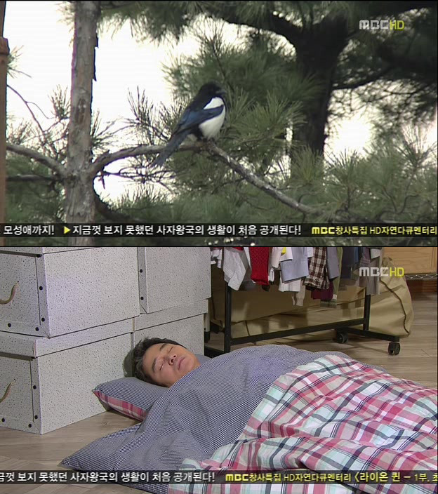 [지붕킥] 세경 때문에(?) 일이 자꾸 꼬이는 보석 | 인스티즈