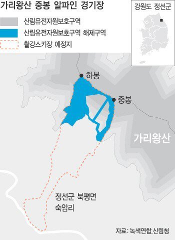 원시림 이미지