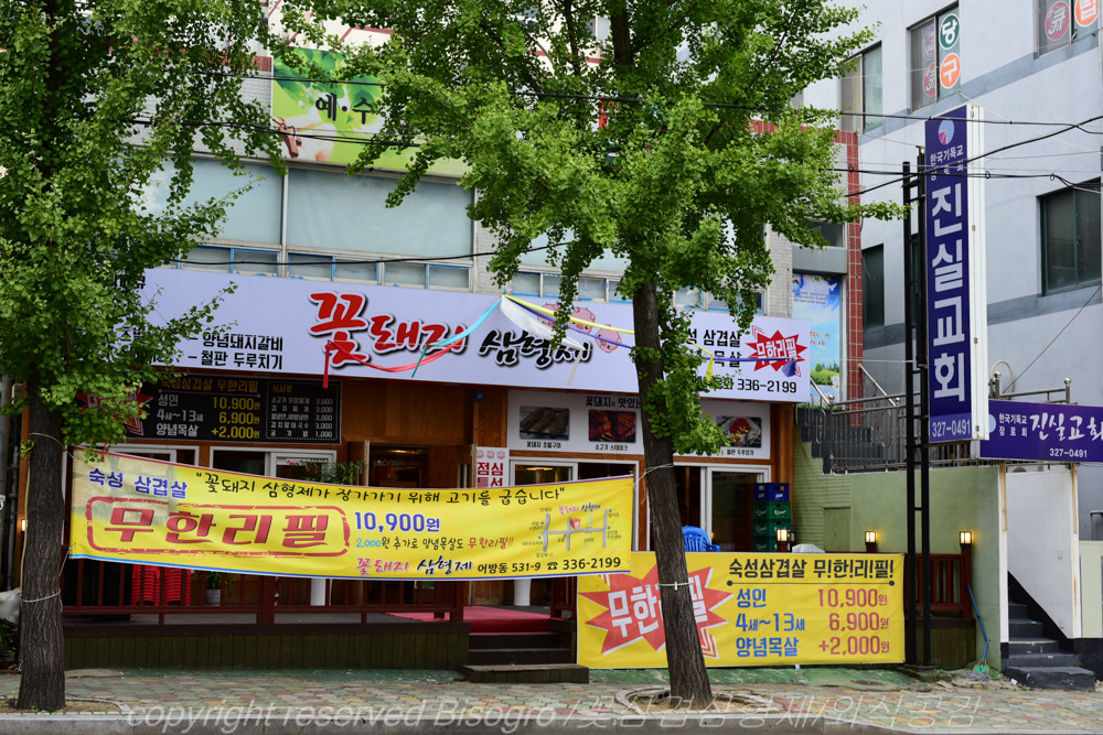 꽃돼지삼형제 이미지
