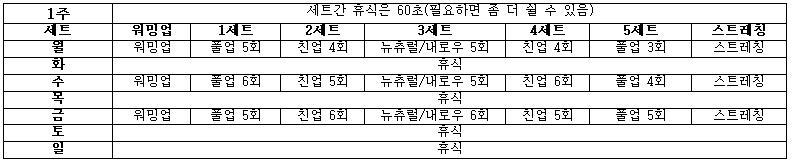 턱걸이 초보도 50개 올리는 프로그램 | 인스티즈