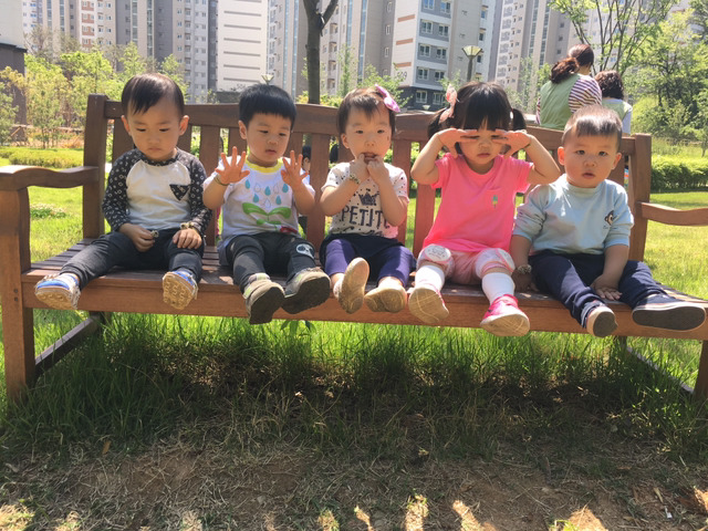다모숲 이미지