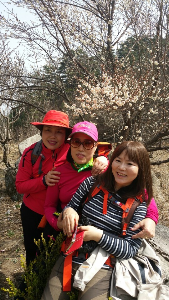 달래촌 이미지