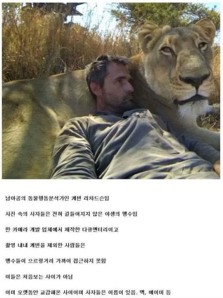 맨몸으로 맹수구역에 들어간 남자 | 인스티즈