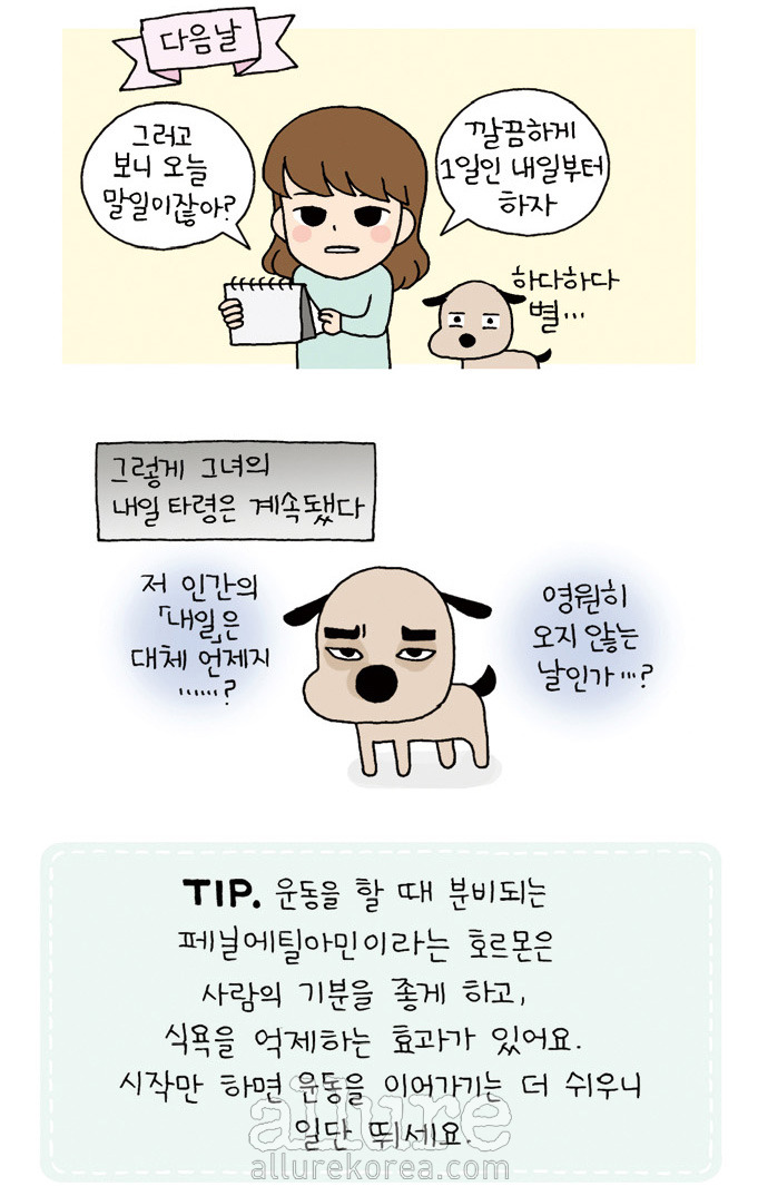 바른생활 다이어트 이미지