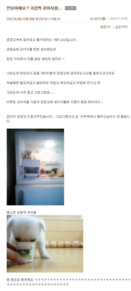 안녕하세요? 가끔씩 강아지를.... | 인스티즈