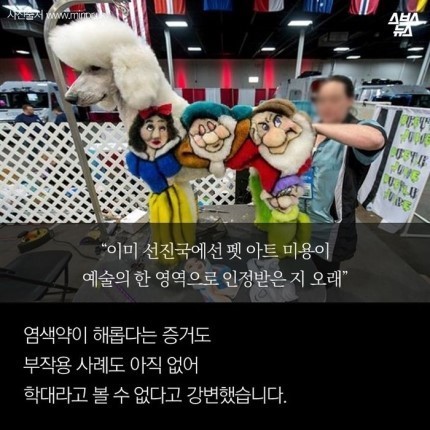 강아지가 도화지야???? | 인스티즈