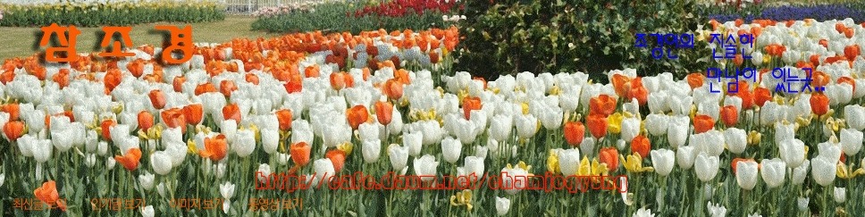 참조경 이미지