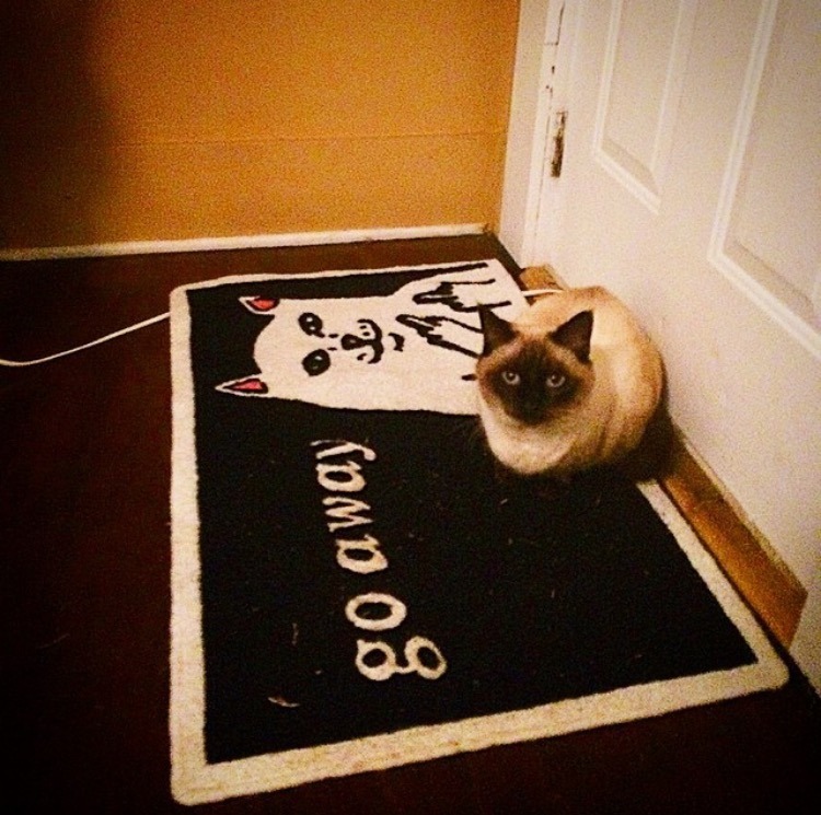 탐나는 발매트 | 인스티즈