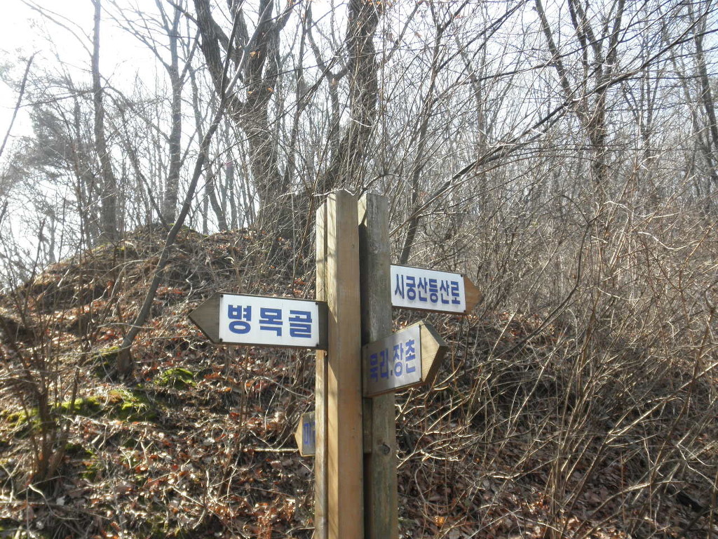 예지촌 이미지