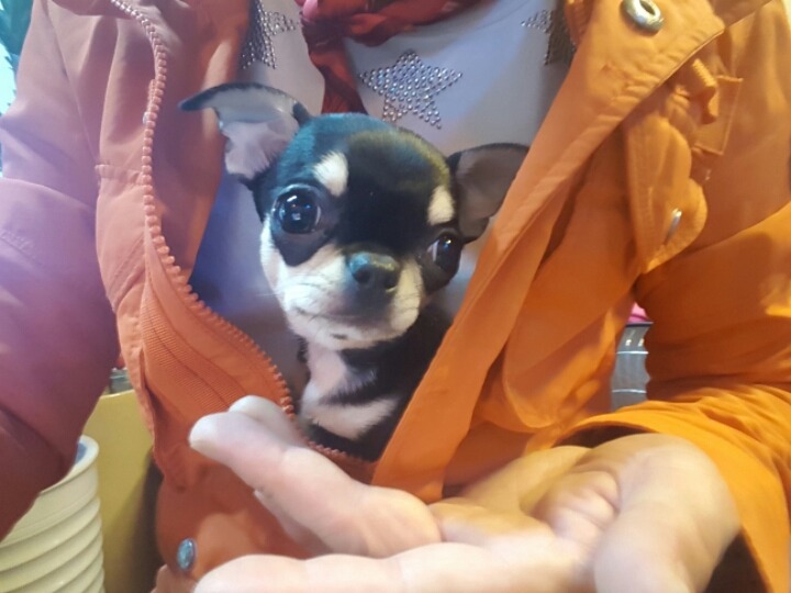 또또 이미지