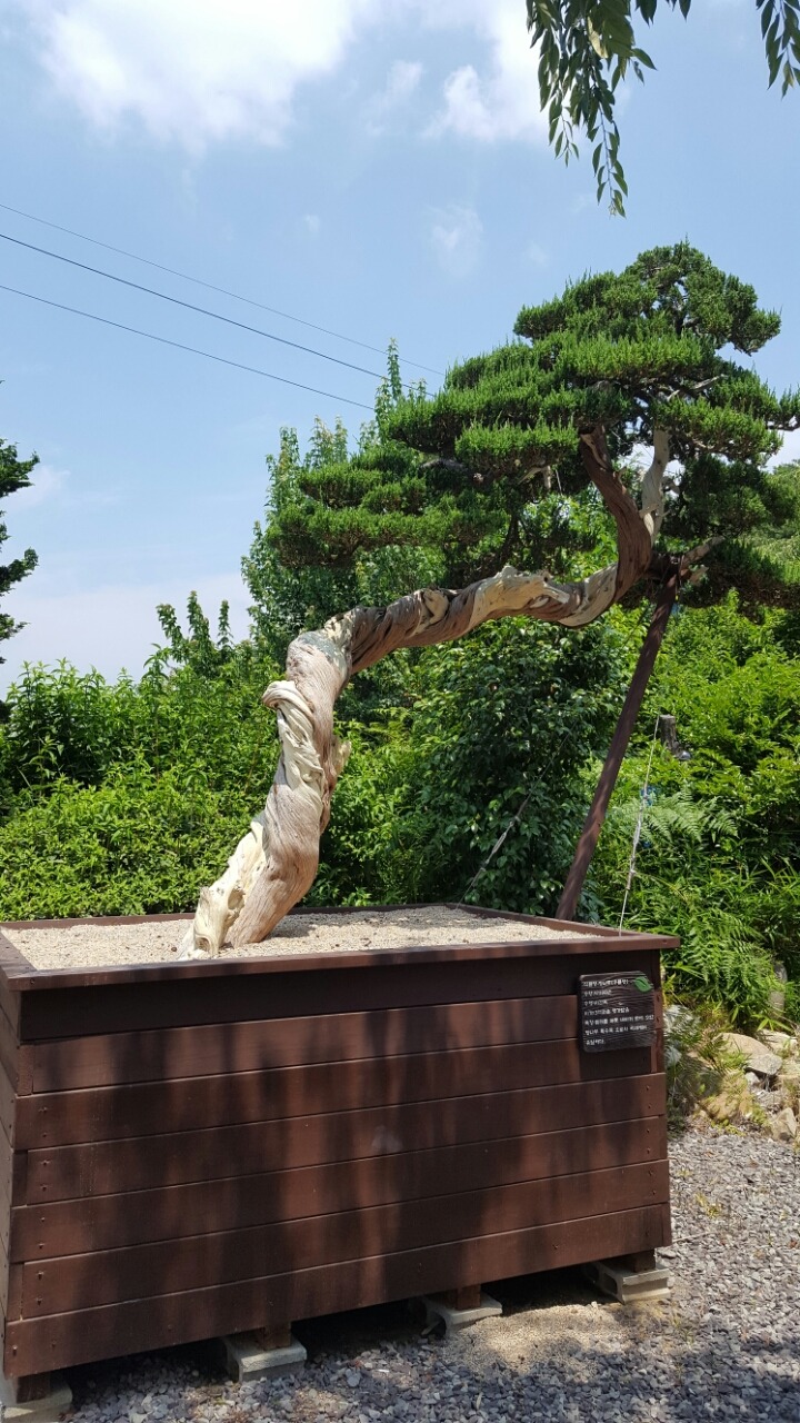 대야원 이미지
