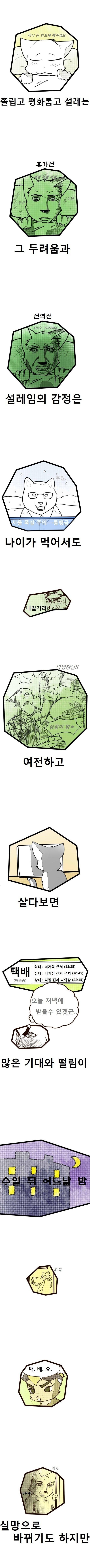 비행기는 날고있을때 보다 공항에서 더욱 떨린다....jpg | 인스티즈