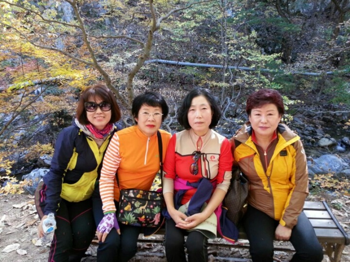 소풍 이미지