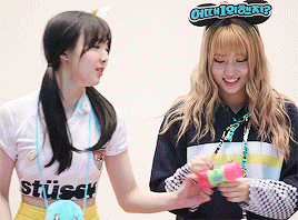 트와이스 서열 8위 싸움.gif | 인스티즈