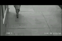 한 남자가 강도를 만났는데 지리네요 | 인스티즈