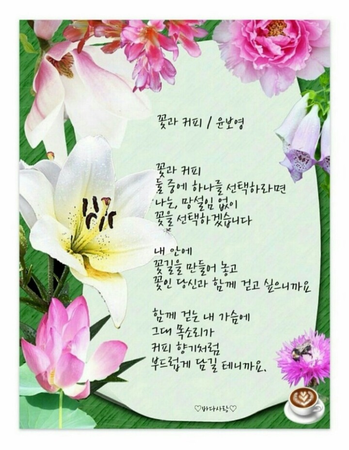 쎄시봉라이브 이미지