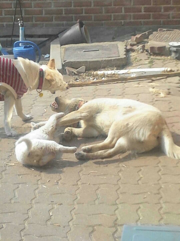 복길이네 이미지