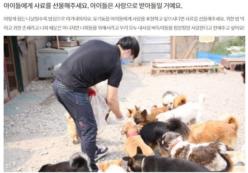 [같이가치모금(달성률87％)] 내사랑바둑이 사설유기동물보호소가 230여마리의 동물들에게 먹일 사료가 부족해 사료비 모금을 하고 있어요 | 인스티즈