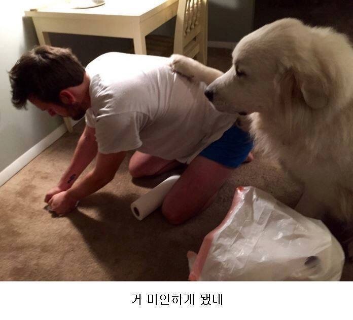내 응가를 치우는 그에게 | 인스티즈