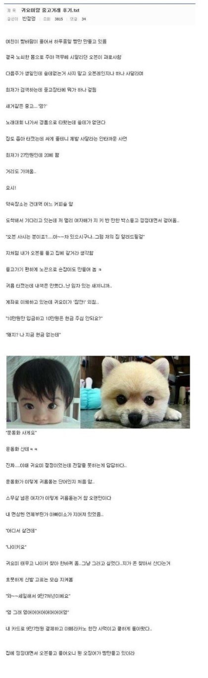 귀요미와 중고나라 거래 | 인스티즈