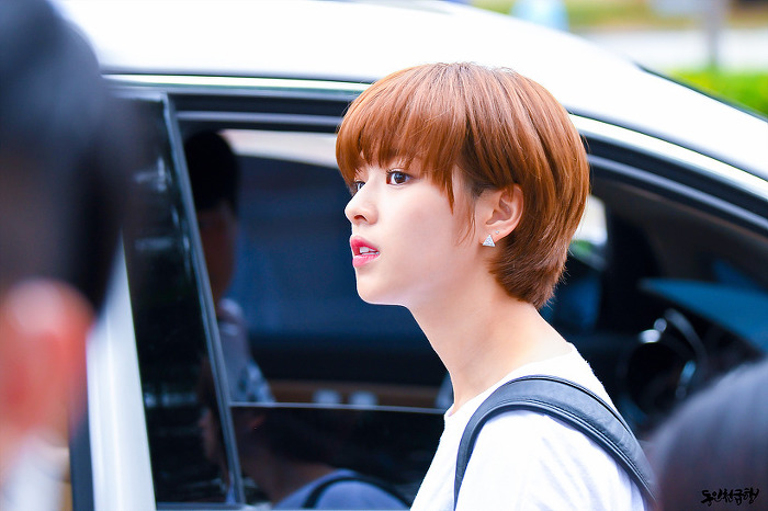 트와이스 정연 | 인스티즈