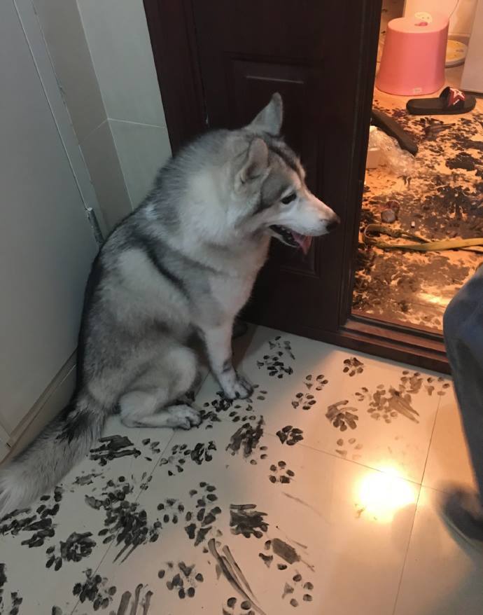 먹물 대참사 | 인스티즈