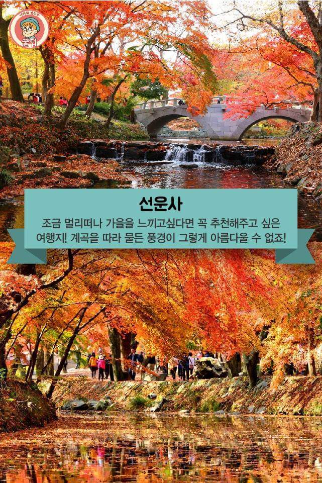 전국의 가을 단풍 여행지 추천 8곳 | 인스티즈