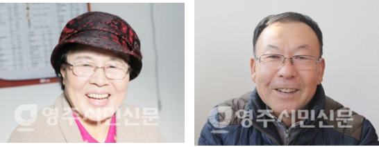 세갈래 이미지