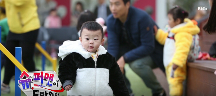 강아지들 처음본 대박이JPG (처음본 강아지를 안무서워 하는 팬더 대박이) | 인스티즈