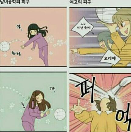 남녀공학과 여고의 차이 | 인스티즈