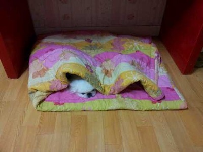 두식이 이미지
